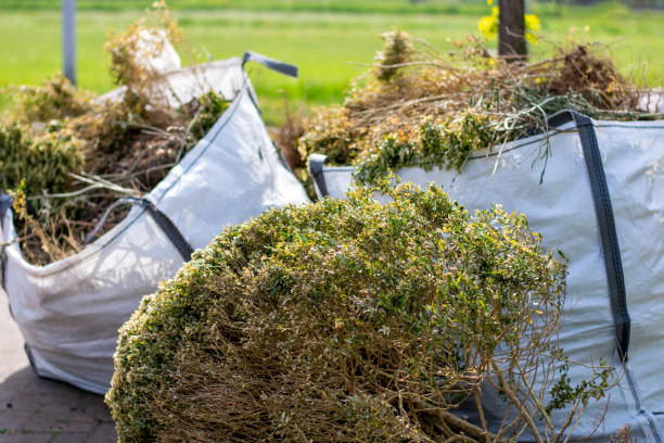 Debris Removal in Summerlin South, NV